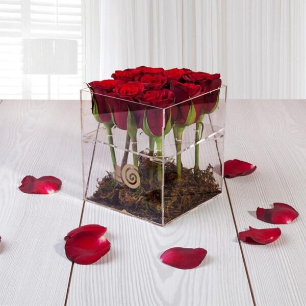 باکس گل پلکسی